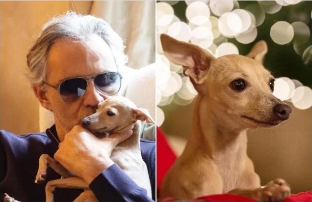 Andrea Bocelli and family search for beloved lost dog Pallina