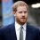 Prince Harry receives sad news from UK