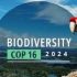 Connecting science and policy: EU-funded biodiversity projects at COP 16