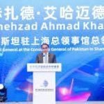 CIIE showcases China’s commitment to further opening up: Pakistani Consul General