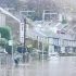 Man dies after tree falls on car as Storm Bert sweeps UK