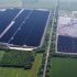 EBRD grants €50M loan to Tenevo Solar for Bulgaria’s new solar plant