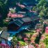 Ruzhou’s “Shi Liu flower and fruit mountain” produces “fruits of prosperity” – a model of rural revitalization in Henan Province