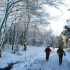 What is freezing rain and how could it cause disruption across UK?