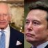 Elon Musk makes 23 posts urging King Charles III to overthrow UK government