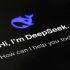 Italy blocks Chinese AI app DeepSeek