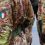 Reports: Italy wants to increase its army